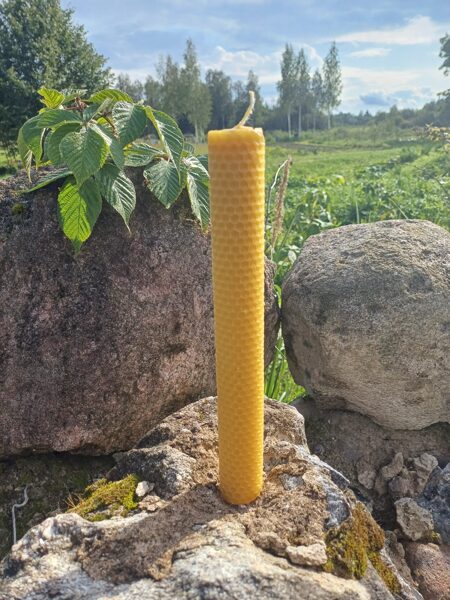 Rolled beeswax candle (26cm)